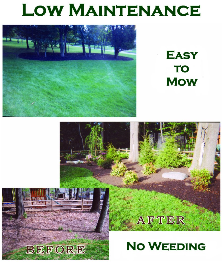 Low Maintenance by Complete Landscape Design