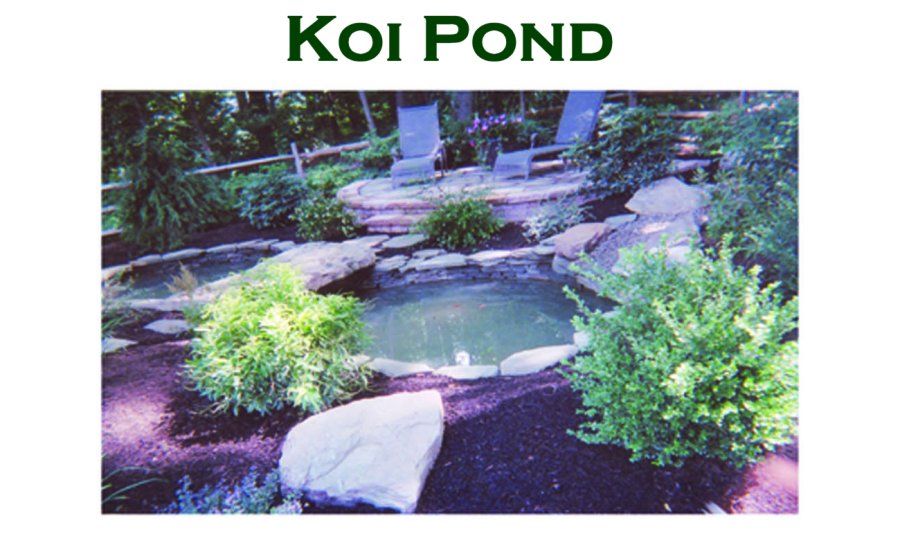 Koi Pond by Complete Landscape Design